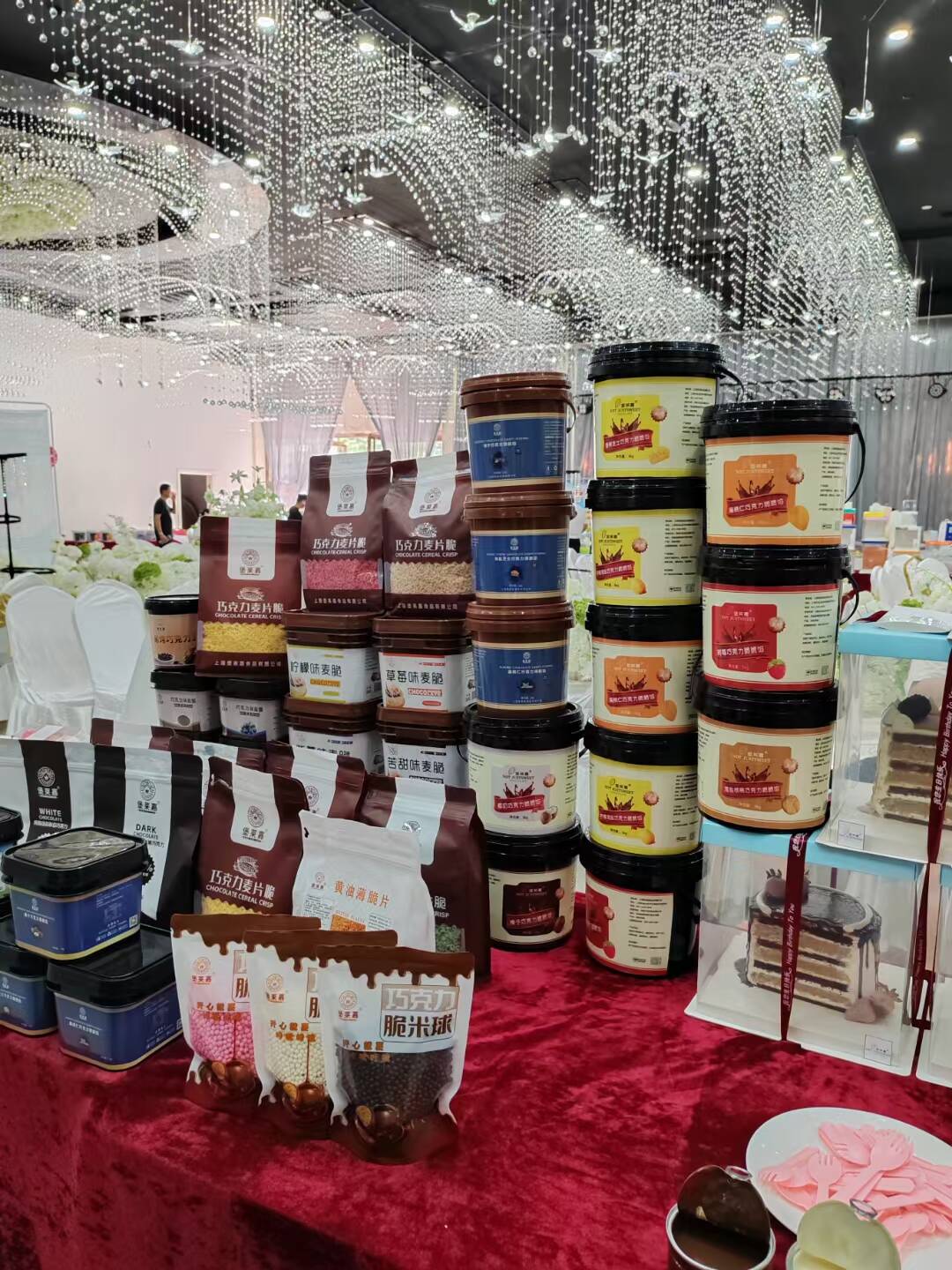 经销商展会进行中(图6)