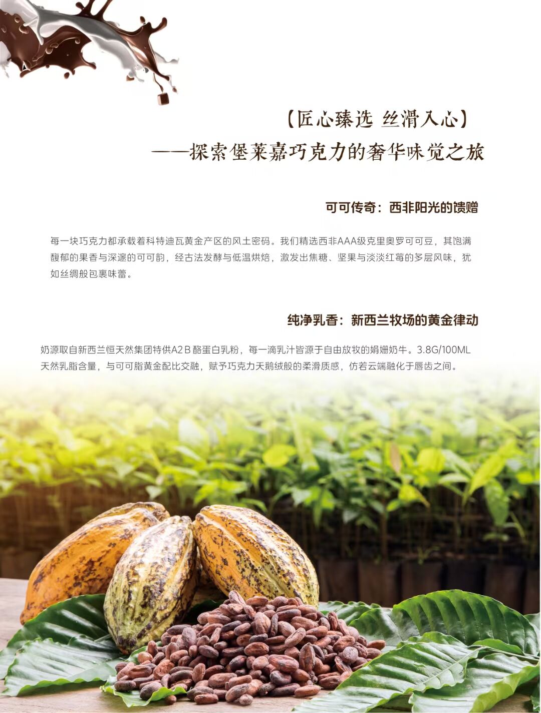 梦龙卷巧克力脆皮酱  欢迎询单(图1)